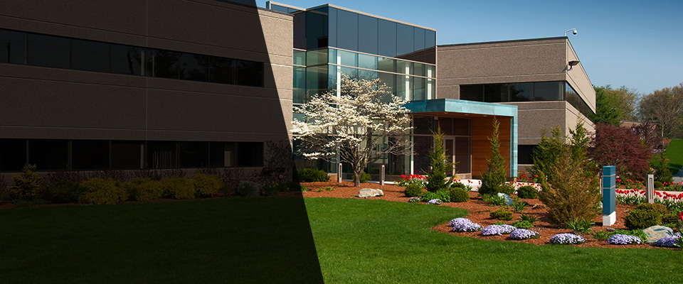 Lyndhurst Landscapers