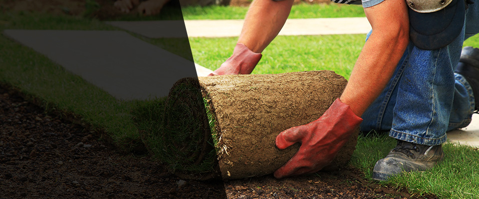 Lyndhurst Landscapers